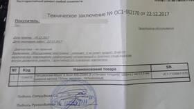 Что делать если потерял чек DNS в Дикая Орхидея