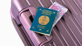 Что делать если потерял паспорт в самолете в Дикая Орхидея