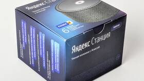 Что может Алиса с подпиской Плюс в Дикая Орхидея