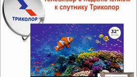 Что происходит с Триколором в последнее время в Дикая Орхидея