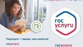 Что такое меры социальной поддержки в Госуслугах в Дикая Орхидея