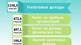 Что такое налоговые расходы бюджета в Дикая Орхидея