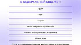 Что такое оборотный налог в Дикая Орхидея