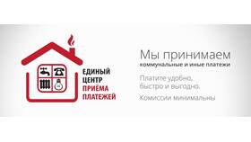 Что такое прочие платежи в Дикая Орхидея