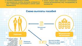 Что такое прямые выплаты в Дикая Орхидея