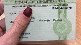Что такое СНИЛС для иностранных граждан в Дикая Орхидея