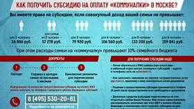 Что такое субсидия на ЖКХ в Дикая Орхидея