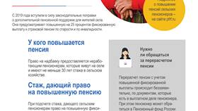 Что такое установленная пенсия в Дикая Орхидея