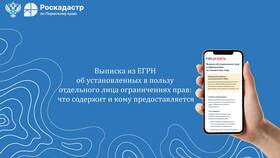 Что указывается в выписке из ЕГРН в Дикая Орхидея