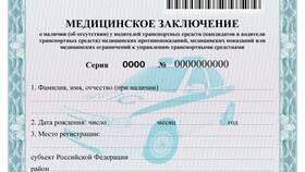 Что включает в себя водительская комиссия в Дикая Орхидея