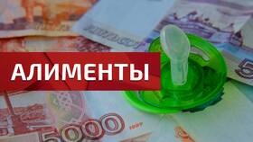 Для чего нужен ИНН при оформлении алиментов в Дикая Орхидея