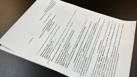 Для чего нужен учредительный договор в Дикая Орхидея