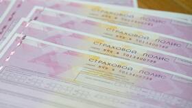 Для чего нужна страховка ОСАГО в Дикая Орхидея