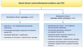 Доходы при УСН 6%: что учитывается при налогообложении в Дикая Орхидея
