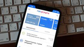 Как оформить выплату 10 000 рублей для беженцев через Госуслуги в Дикая Орхидея