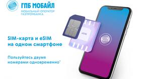 Как оплатить Газпром Мобайл через Сбербанк в Дикая Орхидея