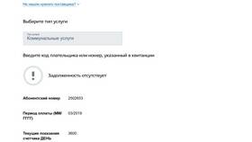 Как оплатить судебную задолженность по ЖКХ в Дикая Орхидея