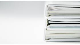Как открыть ИП: пошаговая инструкция в Дикая Орхидея