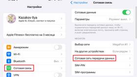 Как подключить тариф для модема в Дикая Орхидея