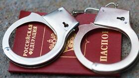 Как погасить судимость досрочно в Дикая Орхидея