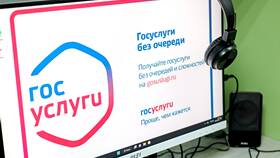 Как получить удостоверение многодетной семьи через Госуслуги в Дикая Орхидея