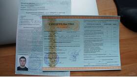 Как получить водительское удостоверение после сдачи экзамена в ГИБДД в Дикая Орхидея