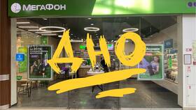 Как поменять номер Мегафон через личный кабинет в Дикая Орхидея