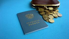 Как приходит выплата по безработице в Дикая Орхидея