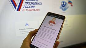 Как проголосовать онлайн через портал Госуслуги в Дикая Орхидея