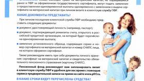 Как проверить статус заявления в ПФР в Дикая Орхидея