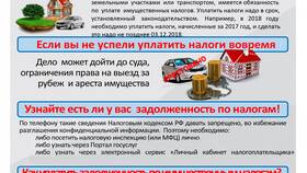 Как проверить задолженность в ФНС в Дикая Орхидея