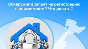 Как проверить запрет на регистрацию недвижимости в Дикая Орхидея