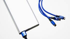 Как провозить power bank в самолете Аэрофлота в Дикая Орхидея