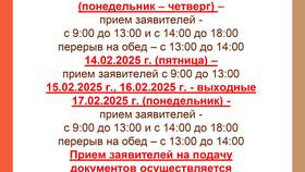 Как работает МФЦ в 2025 году в Дикая Орхидея