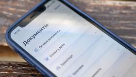 Как работать с порталом Госуслуги: полное руководство в Дикая Орхидея