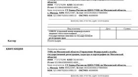 Как рассчитывается госпошлина в суд в Дикая Орхидея