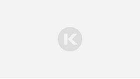 Как самозанятому встать на биржу труда в Дикая Орхидея