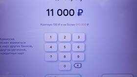 Как снять 3 миллиона рублей с карты Сбербанка в Дикая Орхидея