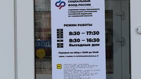 Как узнать размер пенсии работающему пенсионеру в Дикая Орхидея
