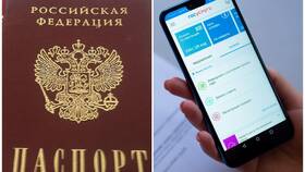 Как восстановить паспорт при утере через Госуслуги в Дикая Орхидея