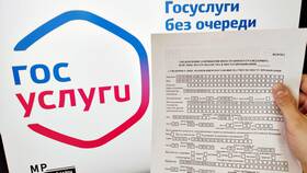 Как выглядит выписка из Госуслуг в Дикая Орхидея