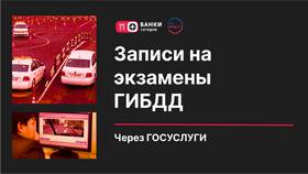 Как записаться на экзамен в ГИБДД через Госуслуги в Дикая Орхидея