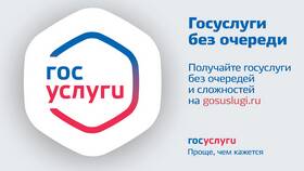 Как записаться на регистрацию через портал Госуслуг в Дикая Орхидея