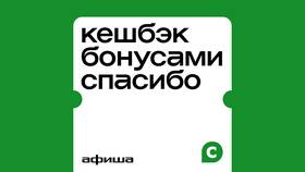 Как зарабатывать СберСпасибо в Дикая Орхидея