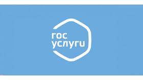 Как зарегистрироваться на Госуслугах самостоятельно: пошаговая инструкция в Дикая Орхидея