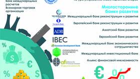 Кредитные организации как субъекты финансового рынка в Дикая Орхидея