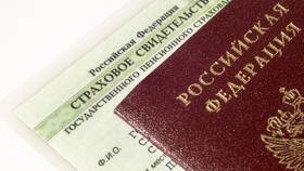 На что умножать пенсионный коэффициент при расчете пенсии в Дикая Орхидея