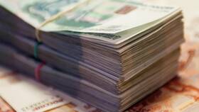 На что влияет уставной капитал ООО в Дикая Орхидея