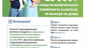 Особенности современной пенсионной системы в Дикая Орхидея