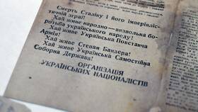 Письмо из Львовского: что это в Дикая Орхидея